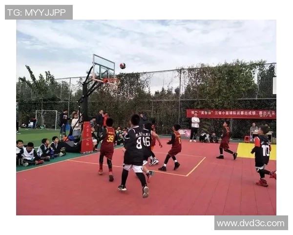 上海篮球队的拼搏之路与大满贯梦想的追逐历程