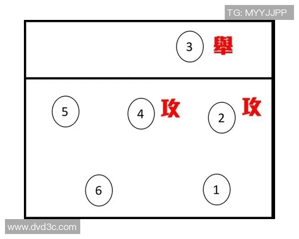 南京排球队防反战术深度解析与实战应用探讨