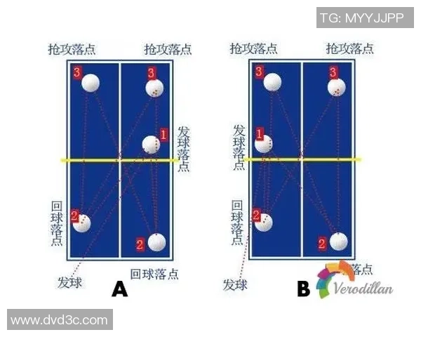 广州乒乓球队配合表现的数据分析与战术研究探讨