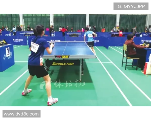 深圳乒乓球队的拼搏历程与荣耀时刻全景回顾